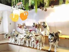 -Husky Go! 哈士奇体验馆·宠物咖啡厅狗咖