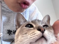 -Cappucimeow猫咪咖啡馆(韦伯时代店)