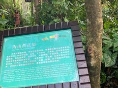 -呀诺达热带雨林