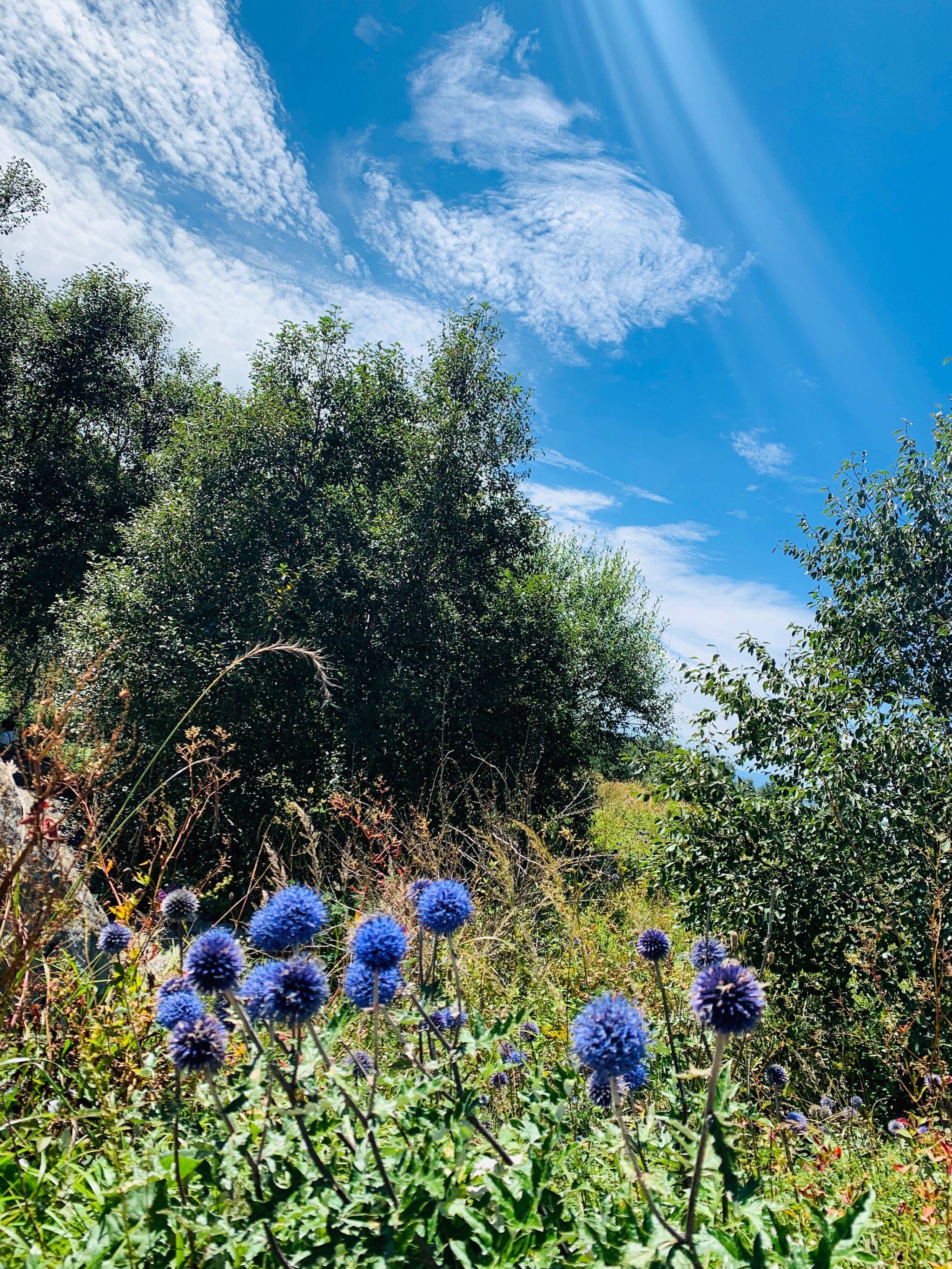 关于百花山白草畔的攻略都在这里