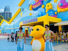 -海合安成都极地海洋公园
