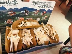 -芸山季·云南山珍菌火锅(人民广场来福士店)