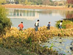 -艾溪湖湿地公园