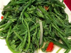 佛手瓜苗-粤北餐馆