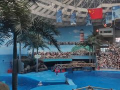 -海合安成都极地海洋公园