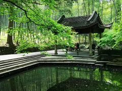 -西湖风景区十里琅珰-五云山