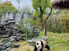 -杭州野生动物世界