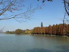 -长广溪湿地公园