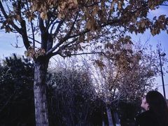 -北陵公园