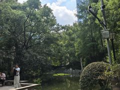 -人民公园-相亲角