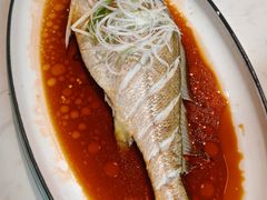 清蒸大黄鱼-后海16号·北京私房菜