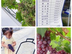 -金谷域澳洲庄园