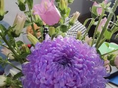 -双季花艺园艺市场(浦东店)