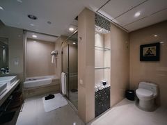 -电谷雅阁国际大酒店