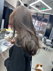 -Hair Code芭曲发型