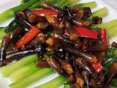 -陶缘一号·四季缘·老字号顺德菜·户外婚礼家宴(西滘店)