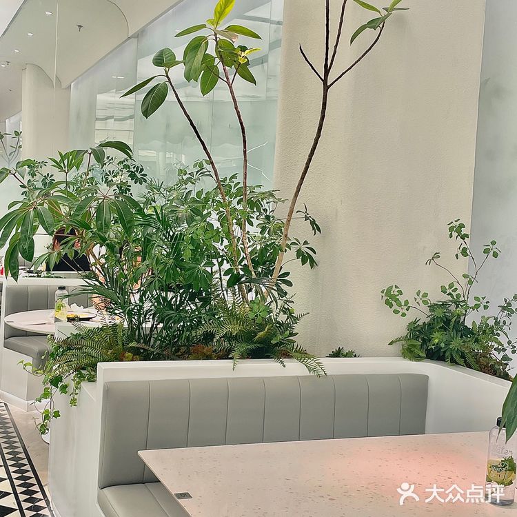 老牌网红餐厅太原街创始店重装简直太美了～