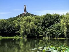 -北坞公园