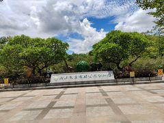 -广东茂名森林公园