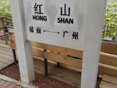 -红山村