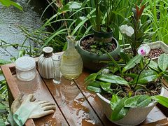 -谷咖啡·鲜花绿植花园餐厅