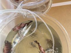 -小猫钓鱼海钓俱乐部(椰梦长廊店)