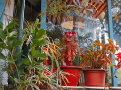 -兰桂坊·花园餐厅(西湖店)