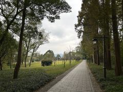 -杭州植物园