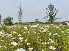 -径山花海