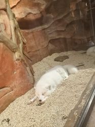 -Zoolung Zoolung动物主题公园(海信广场店)