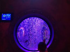 -沈阳海洋探索中心