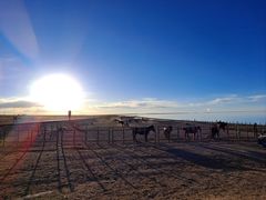 -青海湖国家重点风景名胜区