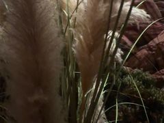 -世外桃源水疗会(皇庭彩园店)