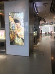 -周大福CHOW TAI FOOK传承珠宝店(石路国际商城店)