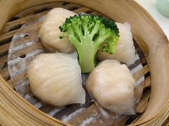 -馨越楼·点心·粤菜(赤坎店)