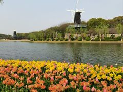 -上海鲜花港