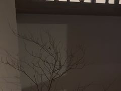 -Hideout Hookah Lounge·隐觅地
