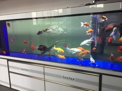 -上海华帆旗开比亚迪4S店(浦东北路店)