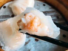 晶莹鲜虾饺-添好运点心专门店(北角店)