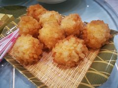 -丁老爷子苏香圆