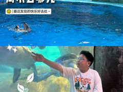 -海合安成都极地海洋公园