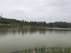 -东莞植物园