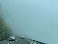 -武陵山森林公园