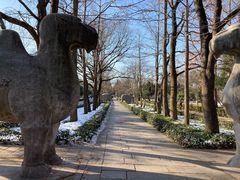 -灵谷景区