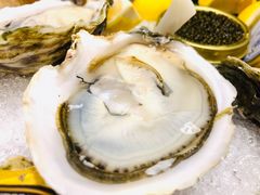 -囧吉香生蚝牛排馆(湖北路店)