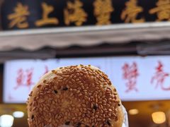 -南翔古镇