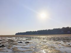 -北海金海湾红树林生态旅游区