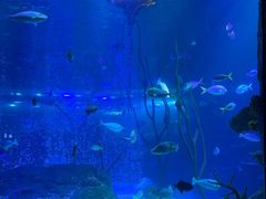 -沈阳海洋探索中心