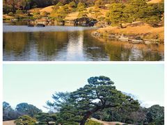 -水前寺成趣园
