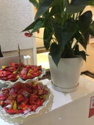-紫洁俪方（北京）医疗美容